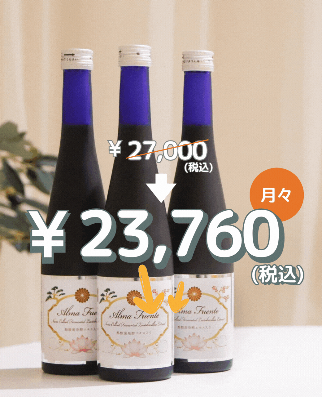 お得な定期コース