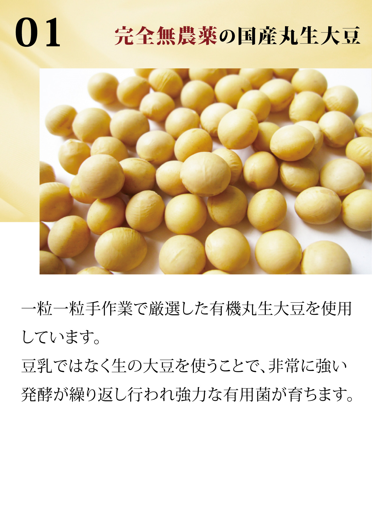 アルマフェンテ 酪酸菌発酵エキス 完全無農薬の国産丸生大豆
