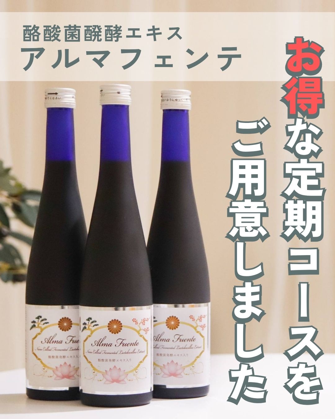 お得な定期コース