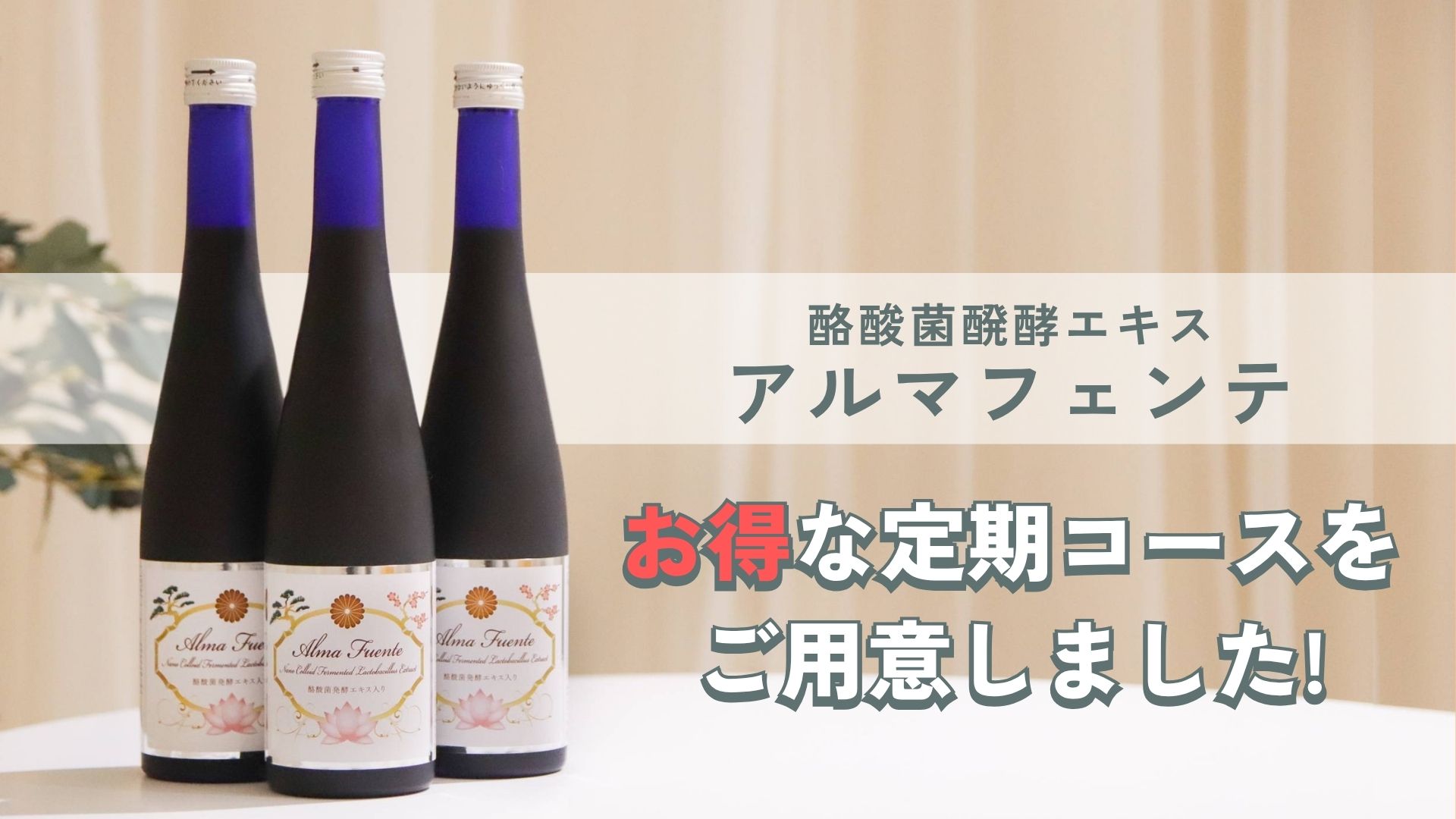 お得な定期コース