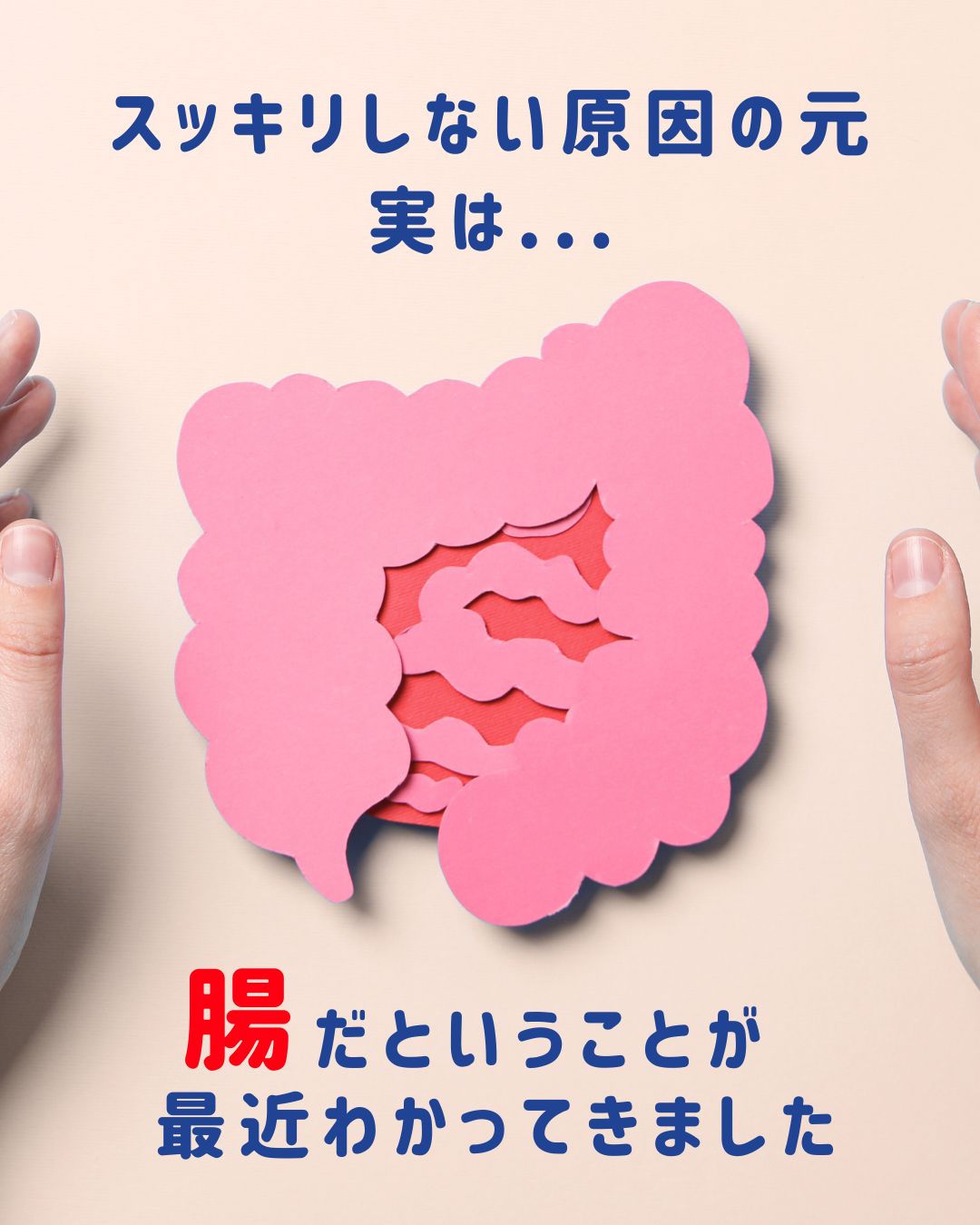 腸活講座_スッキリしない原因