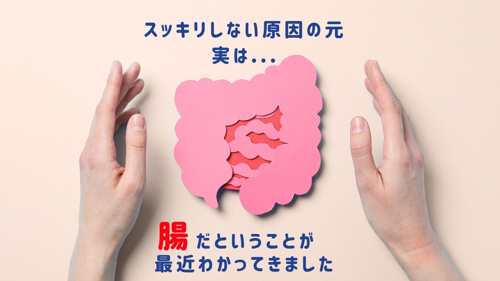 腸活講座_スッキリしない原因