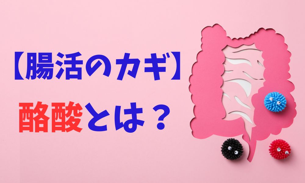 【腸活のカギ】酪酸とは?腸内環境を整える注目の理由