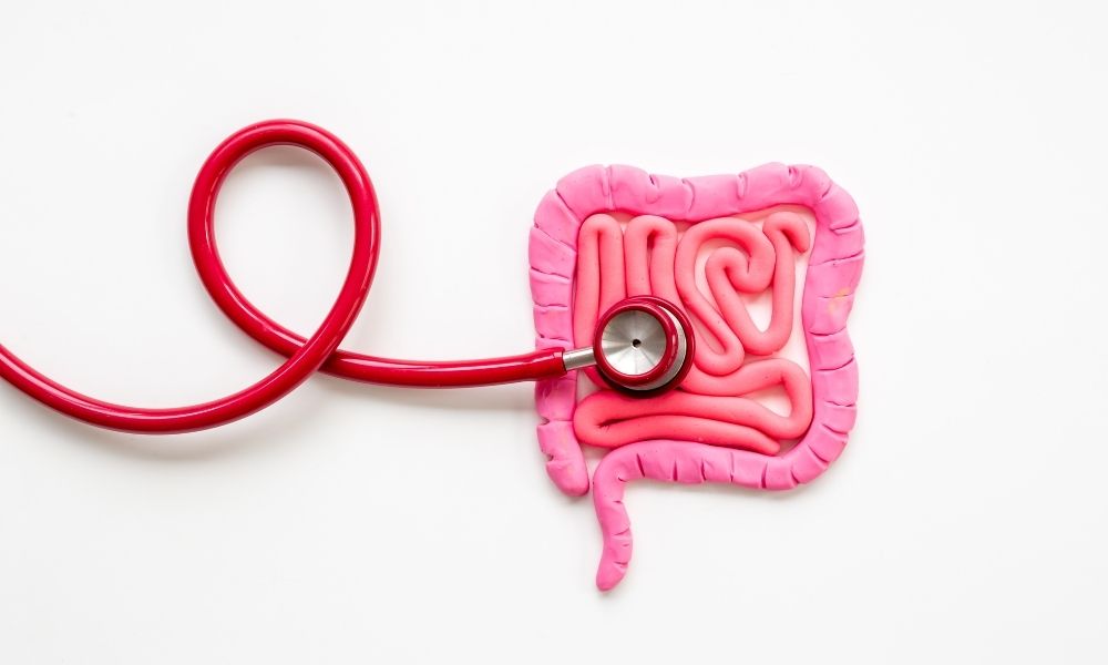 短鎖脂肪酸が腸と全身に与える健康効果