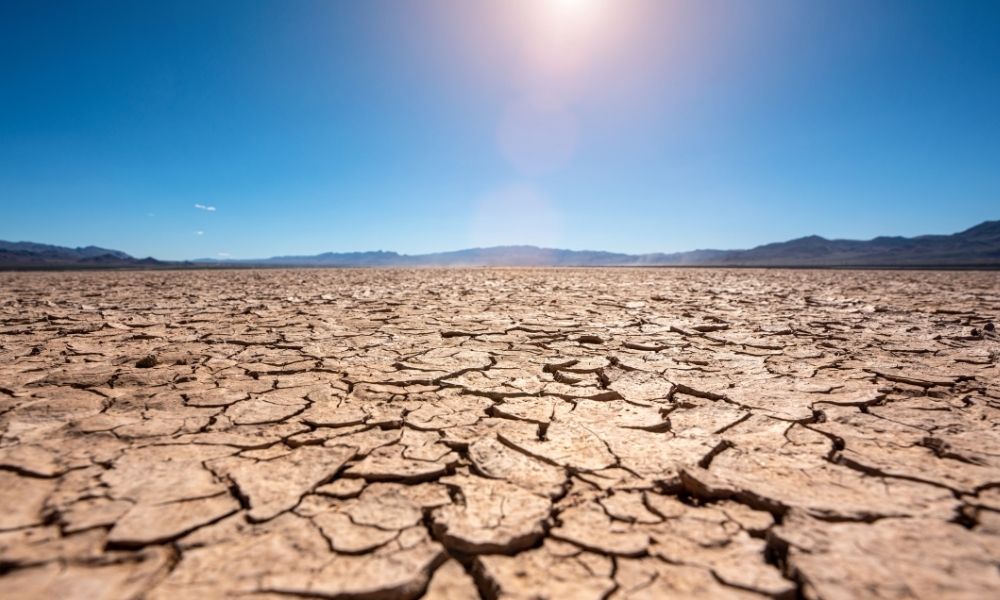 短鎖脂肪酸が不足するとどうなる?