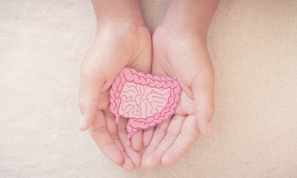 腸内フローリスト 腸内フローリストとは